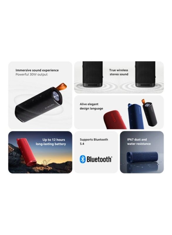 S29D Xiaomi Sound Outdoor 30W (Black)