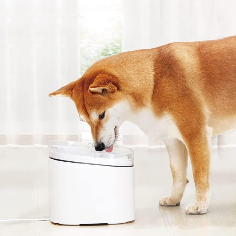 Xiaomi Smart Pet Fountain