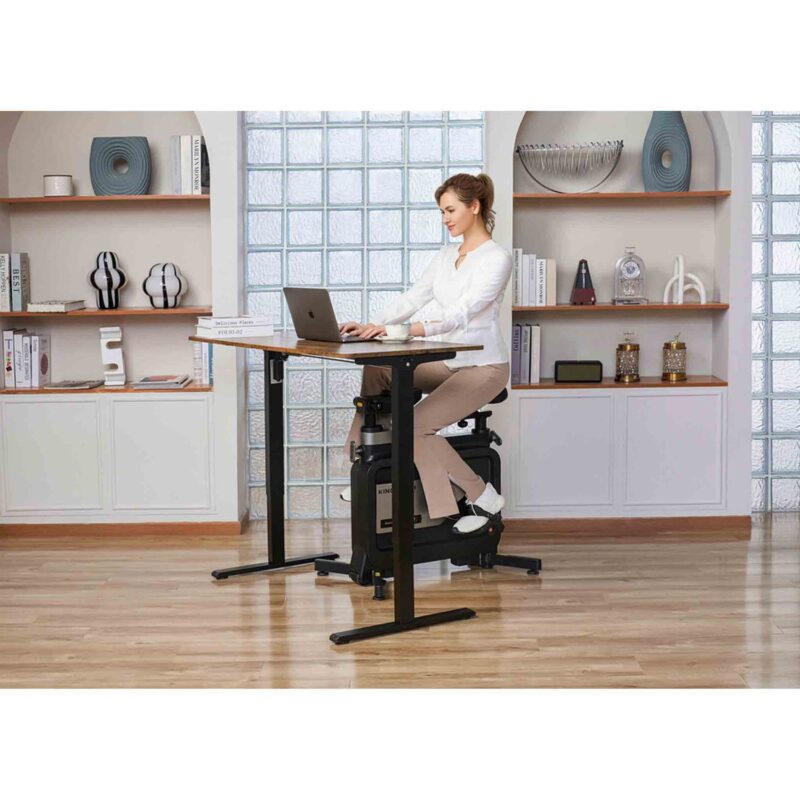 King Smith W1B Foldable Exercise Bike